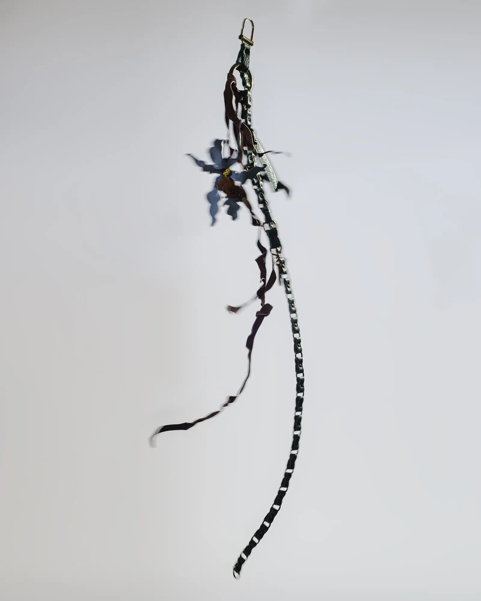 'Caelum' charm