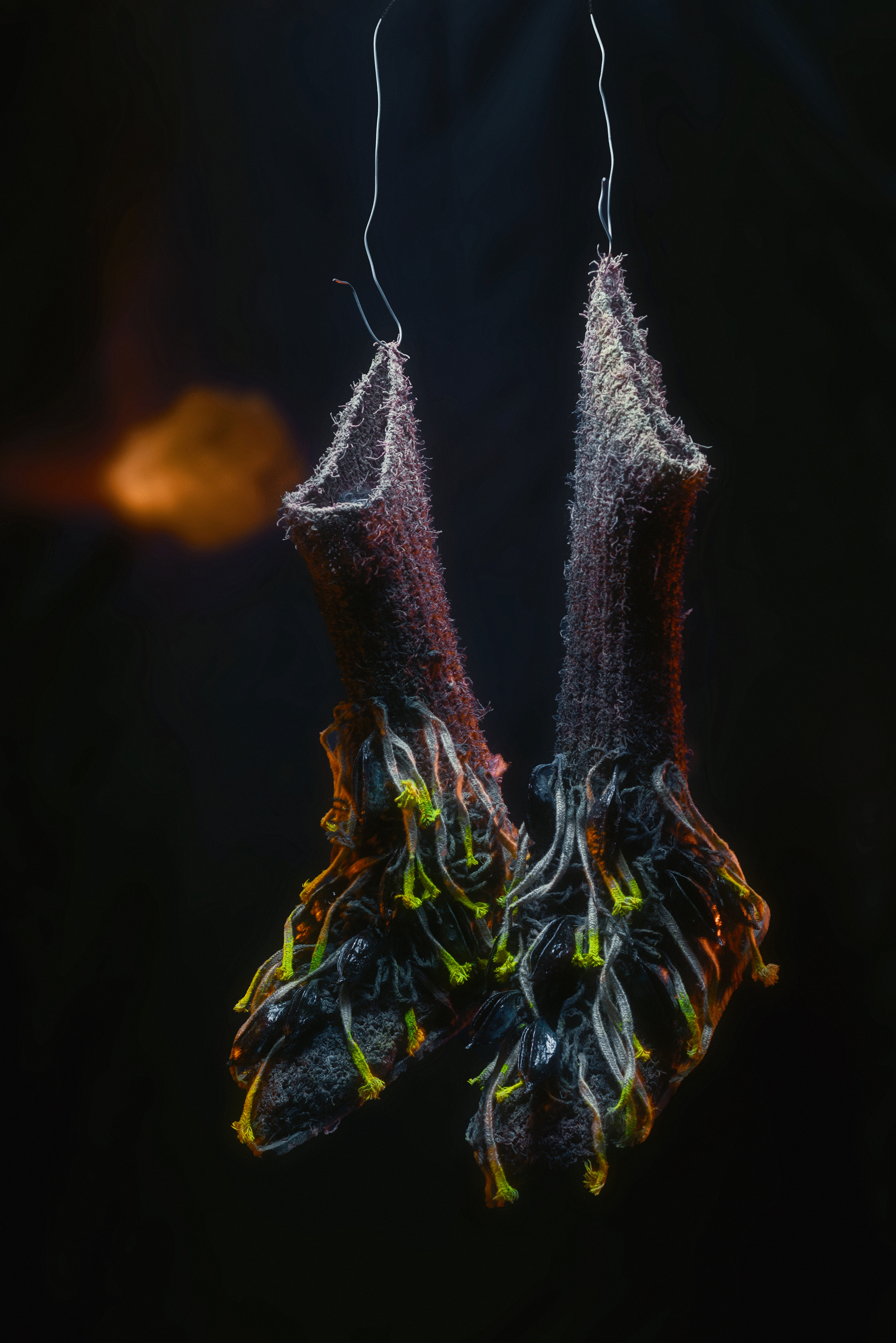 Editorial El Cardenal 4